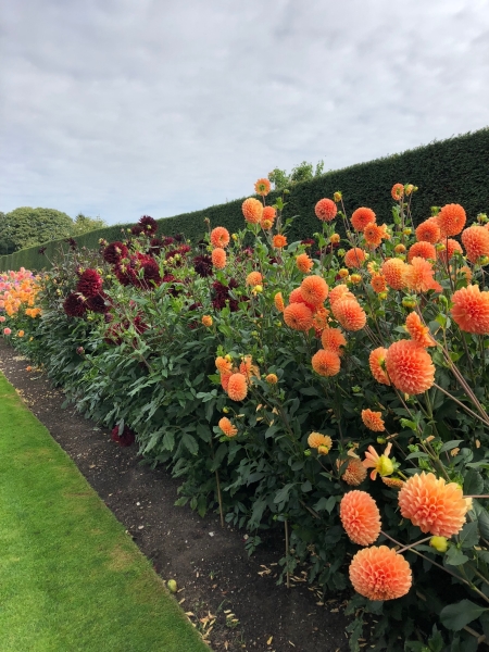 Houghton Hall Walled Garden